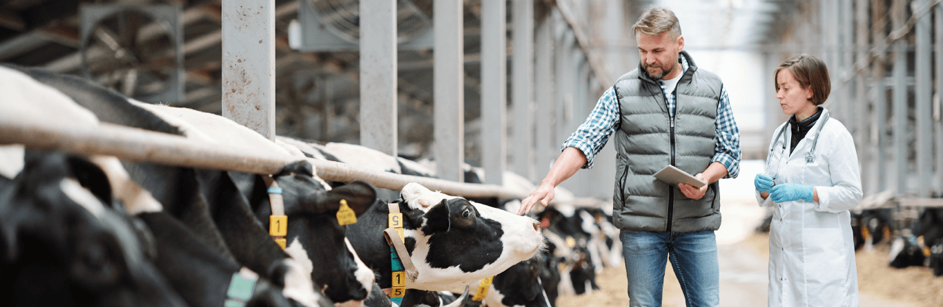 Want to apply for a Vet course in Australia?